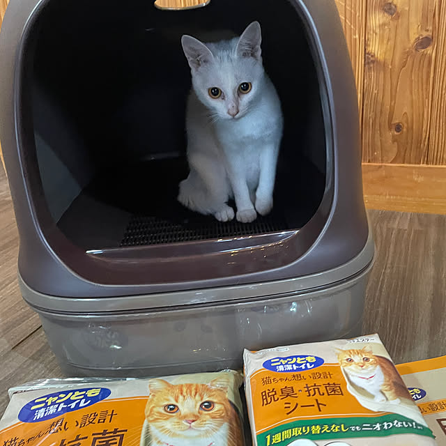 328さんの実例写真