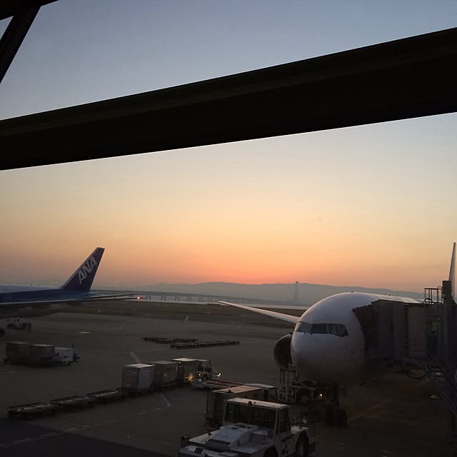 asaさんの実例写真