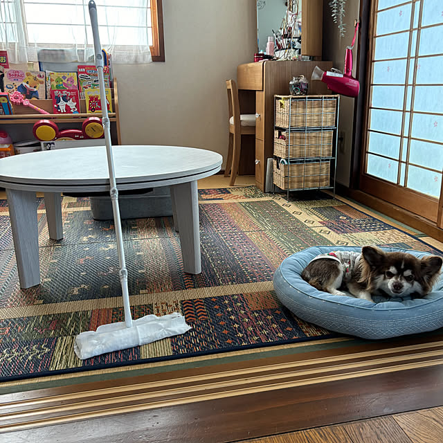 chIoeさんの部屋