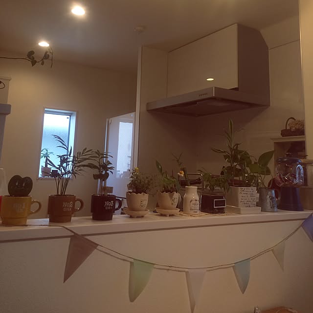 hary5296さんの実例写真