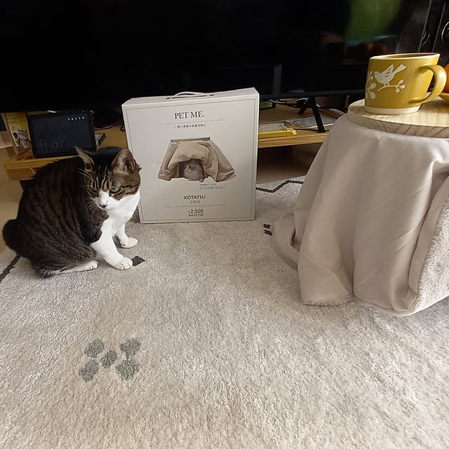 civicglさんの部屋