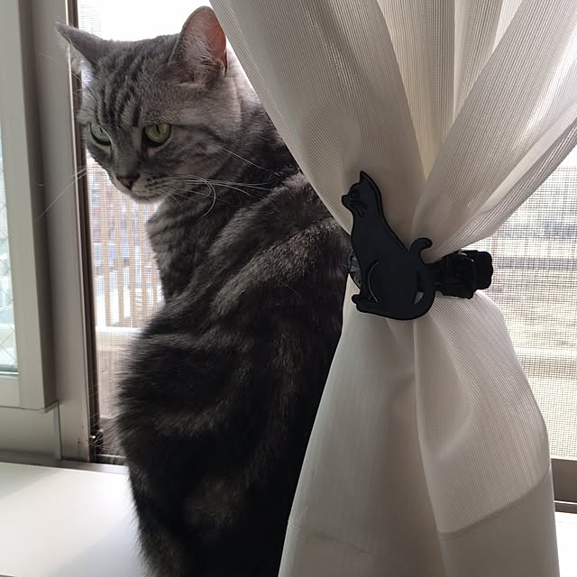 mikomaruさんの実例写真