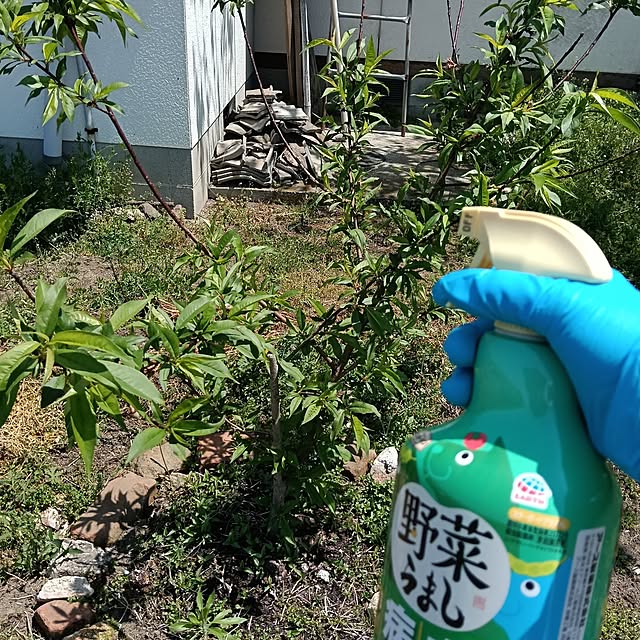 sumimarumiさんの部屋