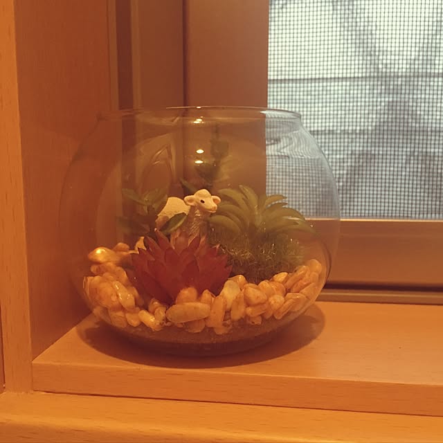 77sprimyさんの実例写真