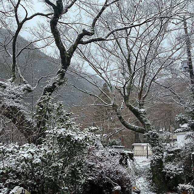 玄関/入り口のインテリア実例 - 2022-12-18 07:06:13