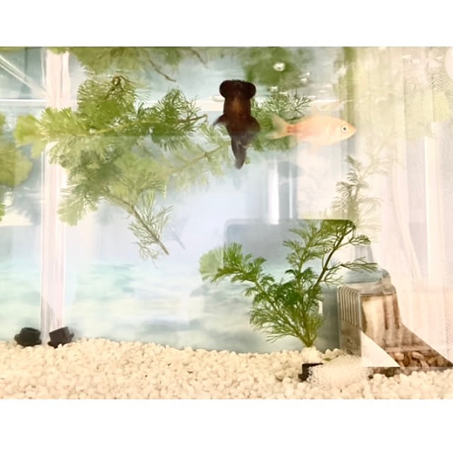 maki_papercraftさんの部屋
