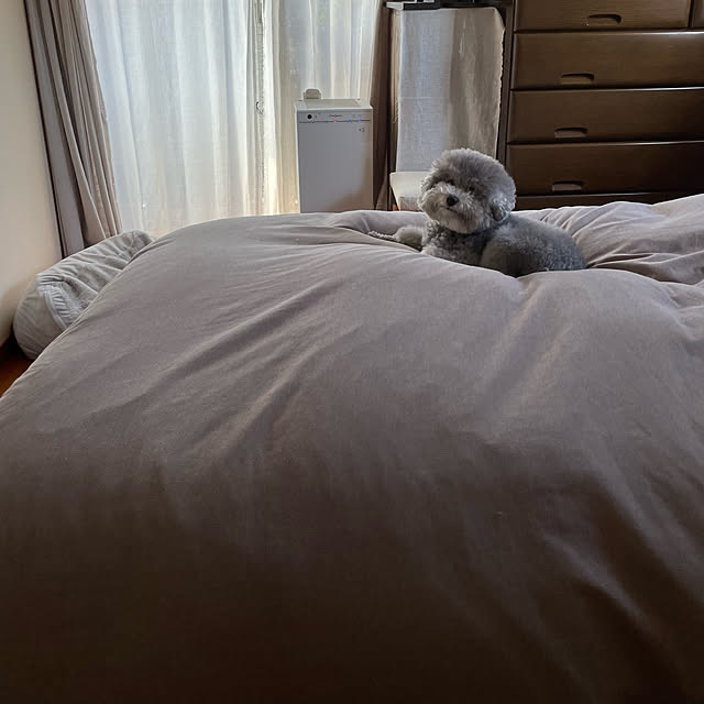 meguko.ryanさんの実例写真