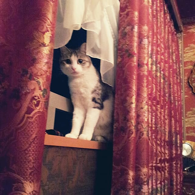 emmyyさんの実例写真