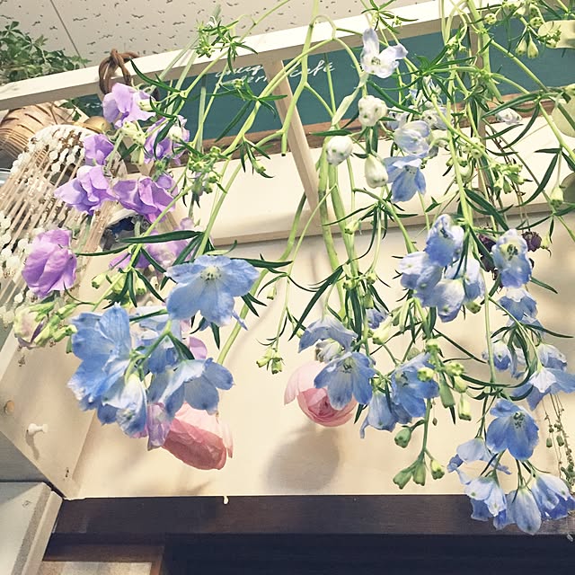 marikaさんの実例写真