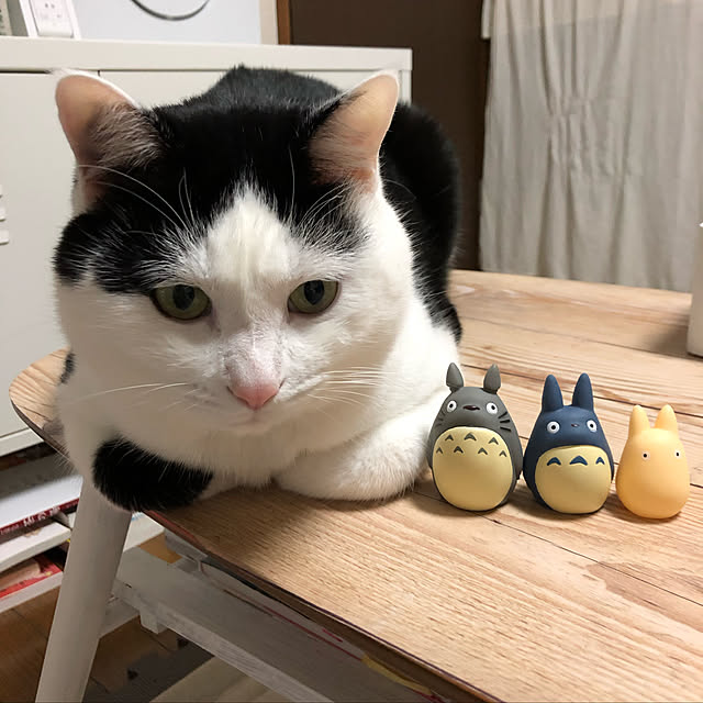 k.Iさんの実例写真