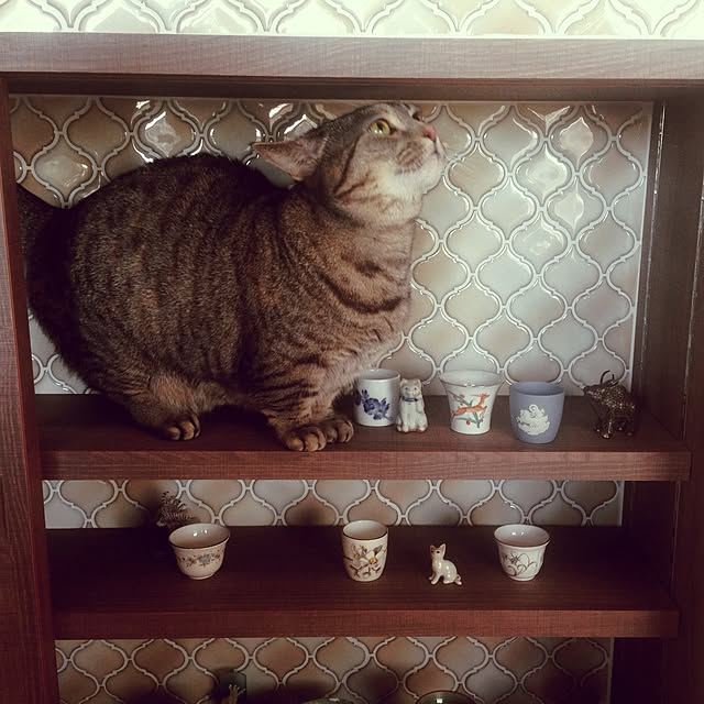 shangmei7033さんの実例写真