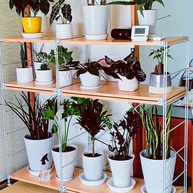 hanachanさんの部屋