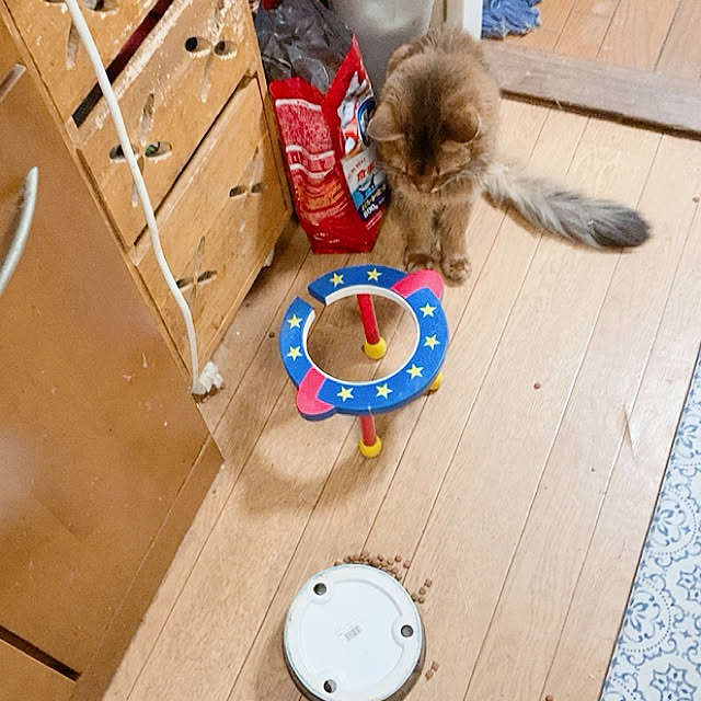 yukarinさんの実例写真