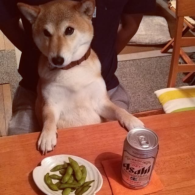 maiさんの実例写真