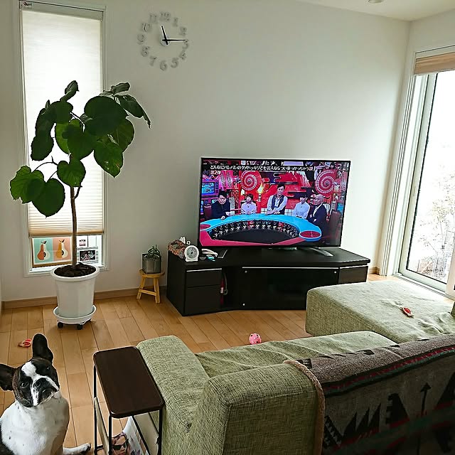 ma_._1024さんの実例写真