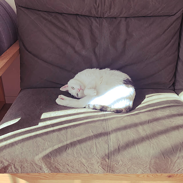 becci.comさんの実例写真