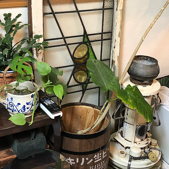NaNanさんの実例写真