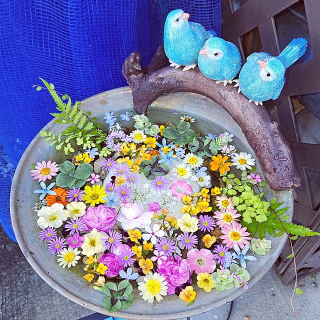 mocomocoさんの実例写真