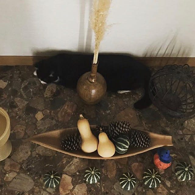 kikitojyurinosenakaさんの実例写真