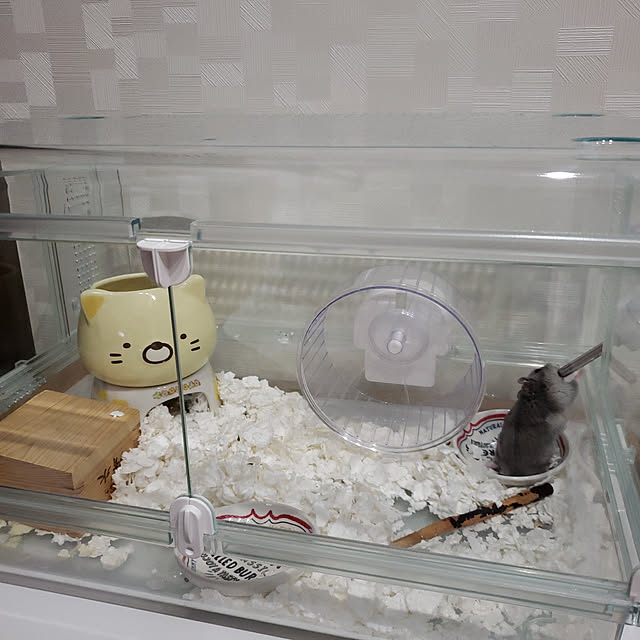 BAZさんの実例写真