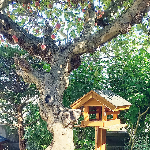 suzumetoriさんの実例写真