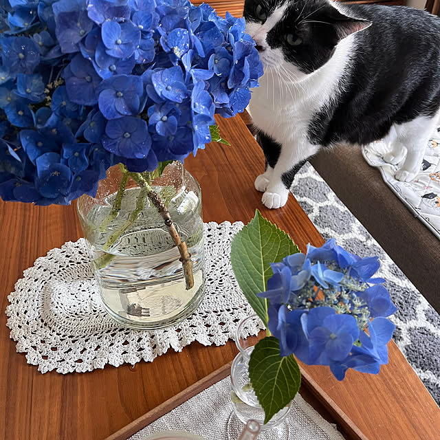 kojimasaさんの実例写真
