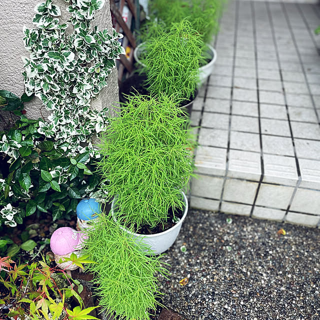 asako.10さんの部屋