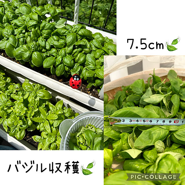 kittyさんの部屋