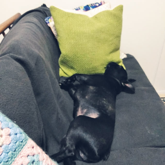 nicomaruさんの実例写真