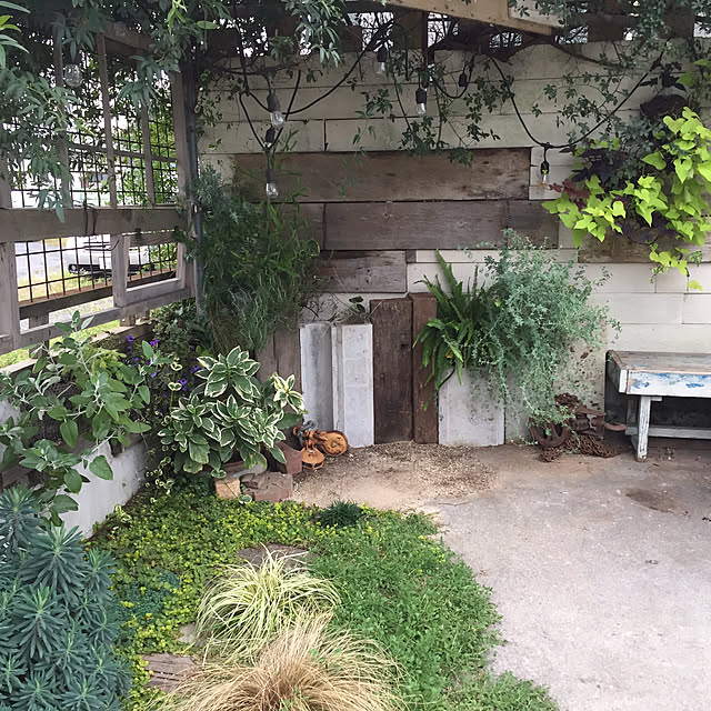 GreenWorksさんの実例写真