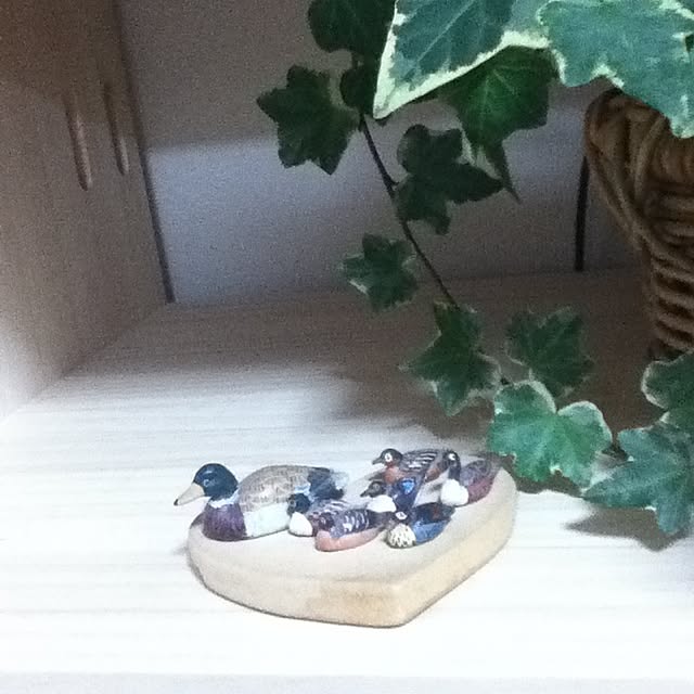 korinoさんの実例写真