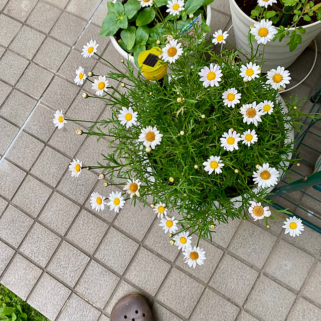 YuuKoさんの部屋