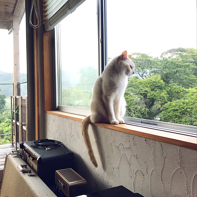 sakurasakuさんの実例写真