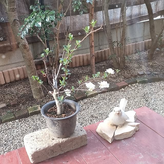 mori_6_12さんの実例写真