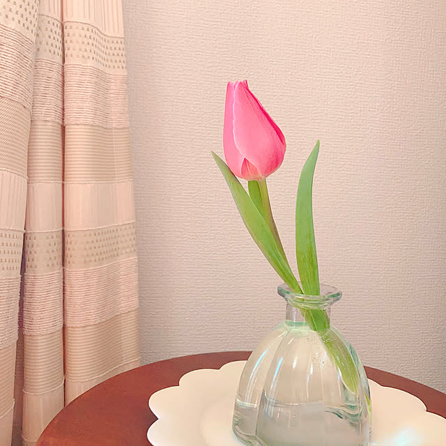 sophiaさんの部屋