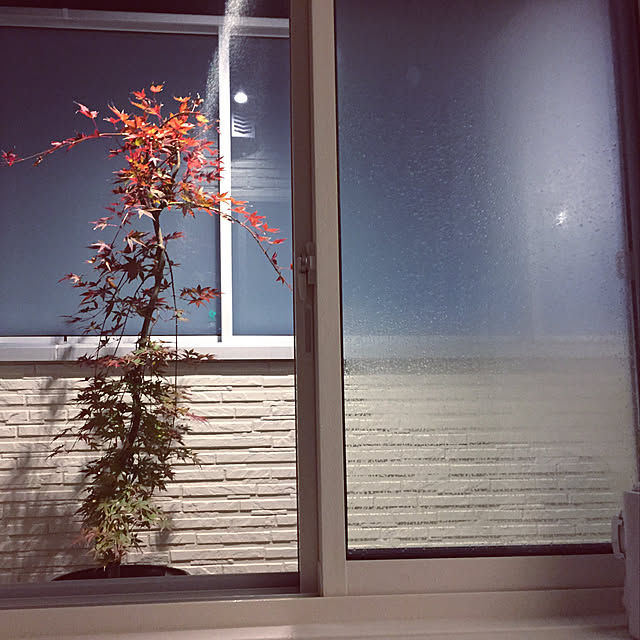 Yoshikoさんの実例写真