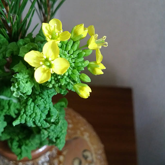 todaysさんの実例写真