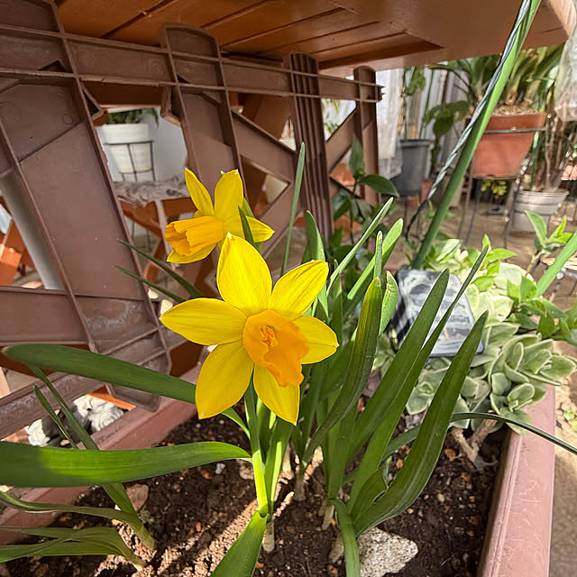 Aqettyさんの実例写真