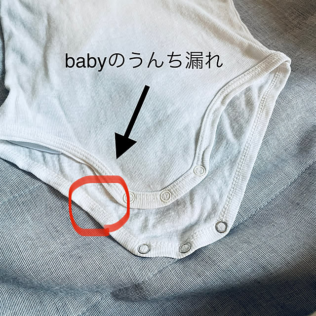 springさんの実例写真