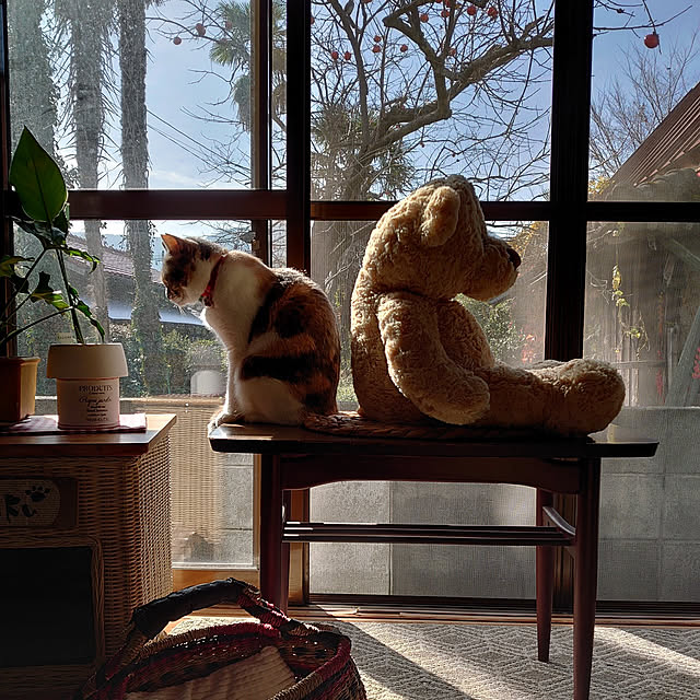 fukuさんの実例写真