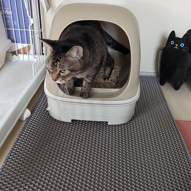 cocomintさんの部屋