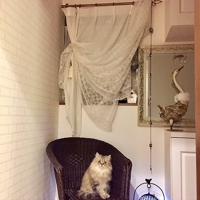 butachanさんの実例写真