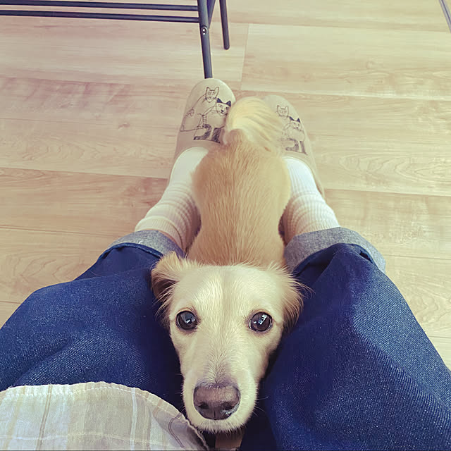 uninekoさんの実例写真