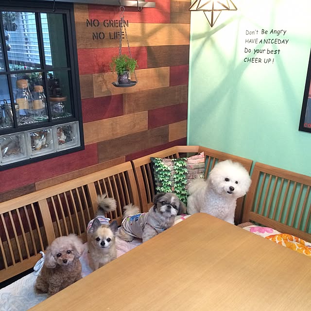 ANNAさんの実例写真