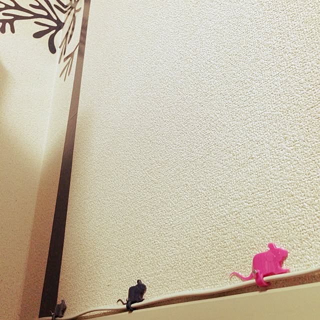 Akiさんの実例写真