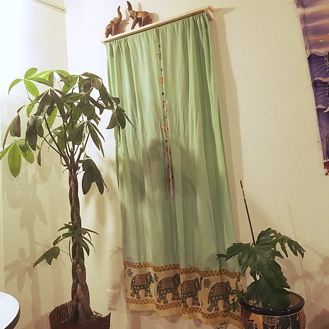 ucochanさんの実例写真