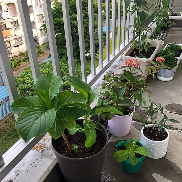 Mitsuさんの部屋