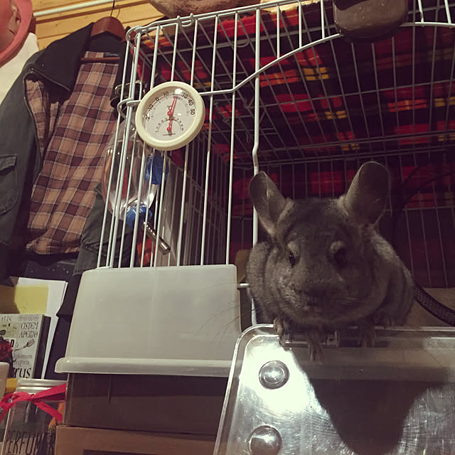hotarueggさんの実例写真