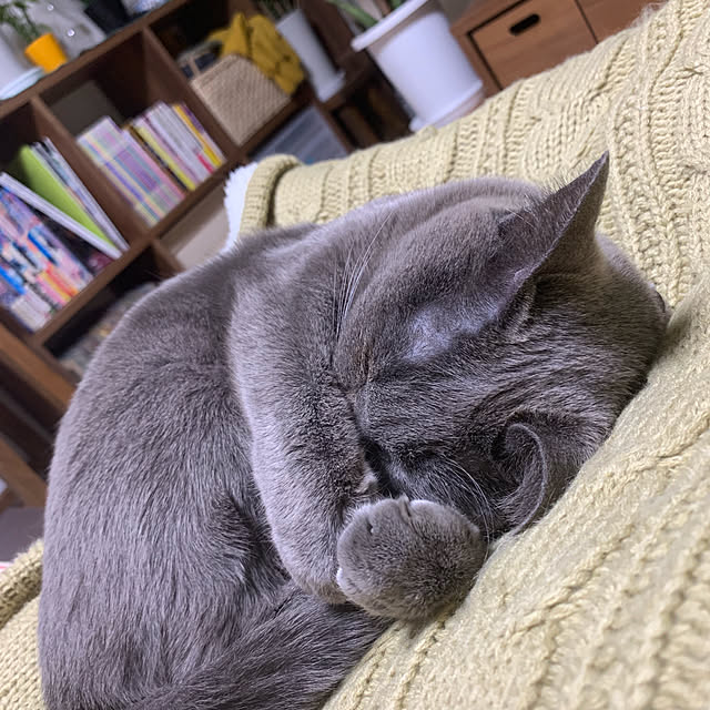73さんの実例写真