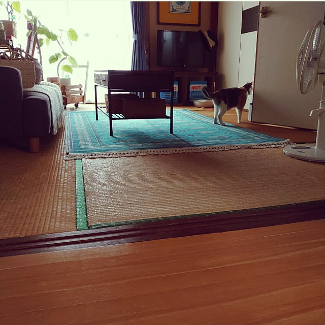 fukuさんの実例写真